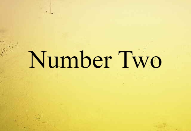 Number Two (noun) Definition, Meaning & Examples