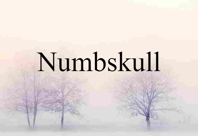 Numbskull (noun) Definition, Meaning & Examples