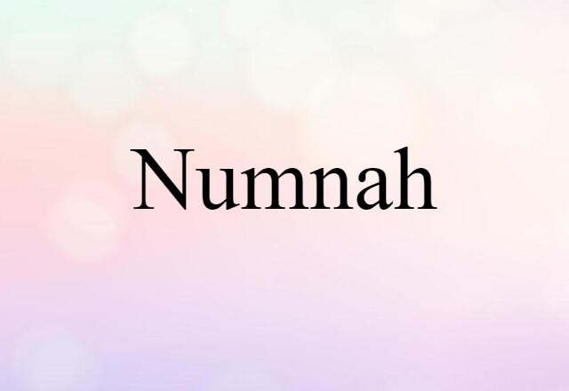 numnah