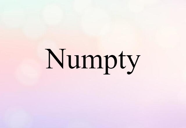 numpty