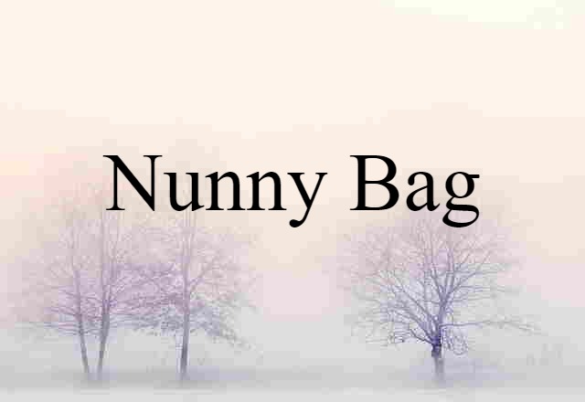 Nunny Bag (noun) Definition, Meaning & Examples