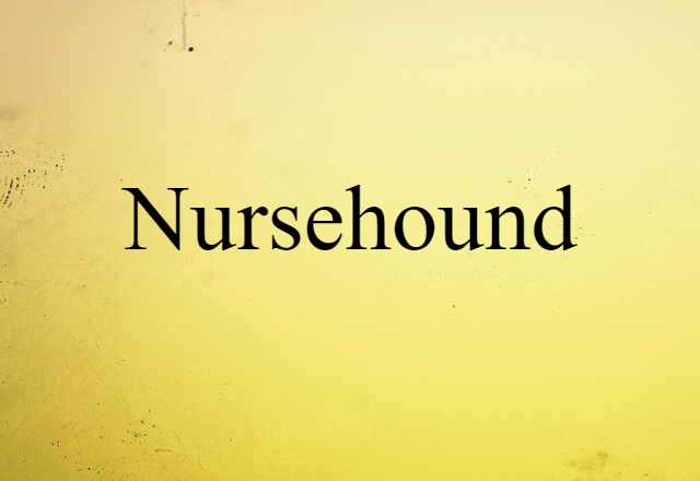 nursehound