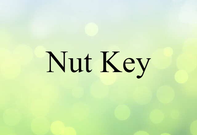 Nut Key (noun) Definition, Meaning & Examples