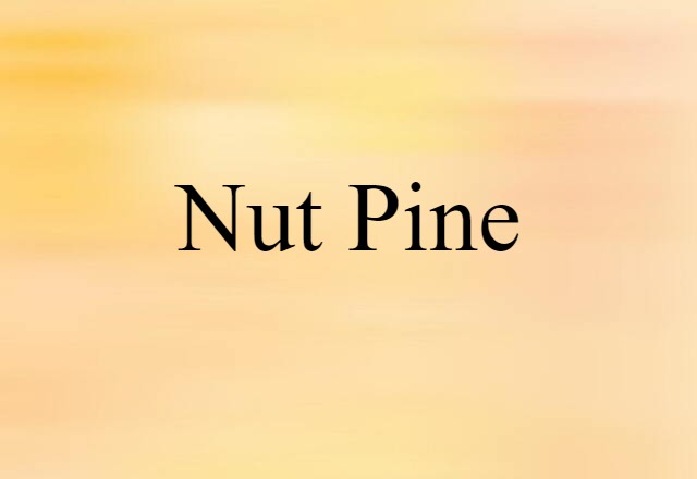 nut pine