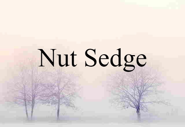 nut sedge