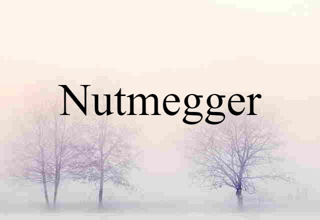 Nutmegger (noun) Definition, Meaning & Examples