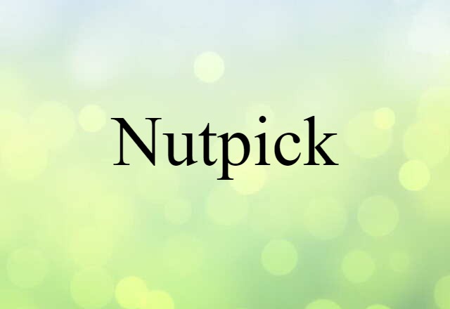 Nutpick (noun) Definition, Meaning & Examples