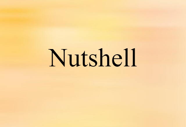 Nutshell (noun) Definition, Meaning & Examples