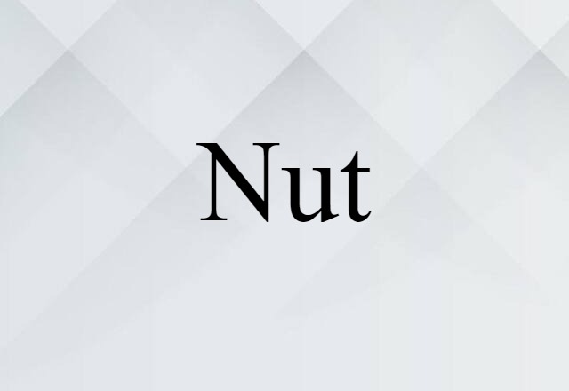 Nut (noun) Definition, Meaning & Examples