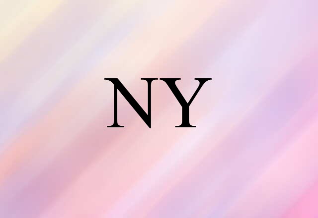 NY (noun) Definition, Meaning & Examples