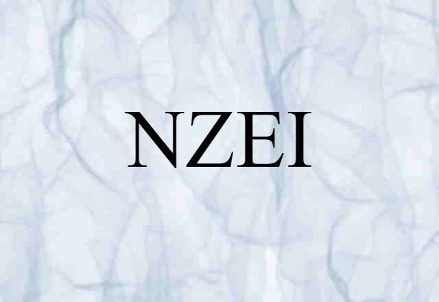 NZEI