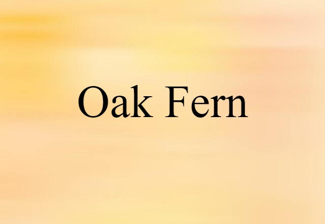 Oak Fern (noun) Definition, Meaning & Examples