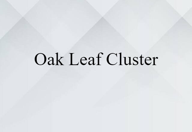 oak leaf cluster