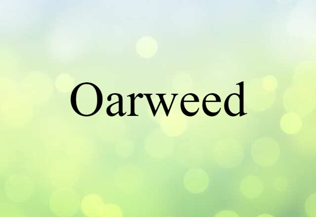 Oarweed (noun) Definition, Meaning & Examples