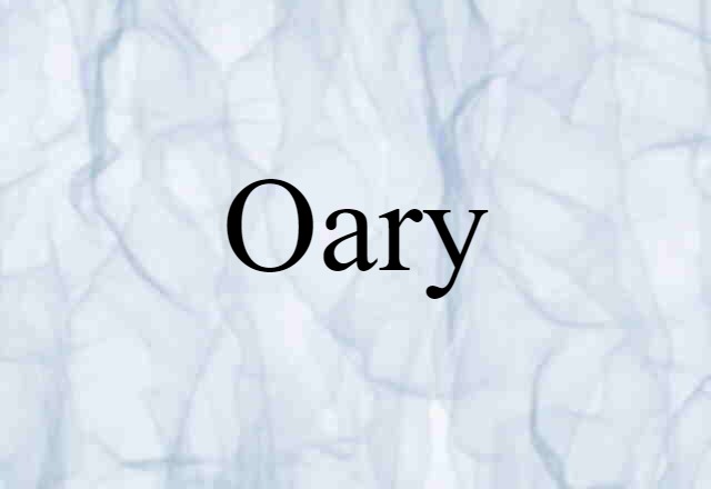 Oary (noun) Definition, Meaning & Examples