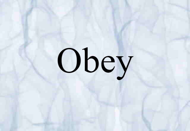 Obey (noun) Definition, Meaning & Examples