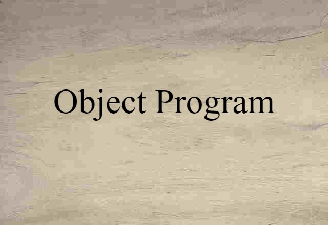 Object Program (noun) Definition, Meaning & Examples