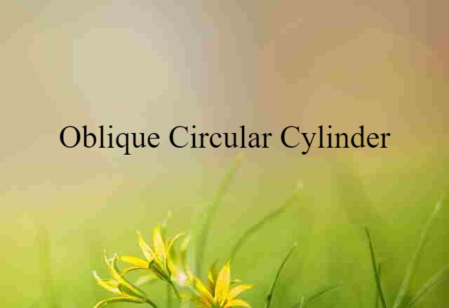 Oblique Circular Cylinder (noun) Definition, Meaning & Examples