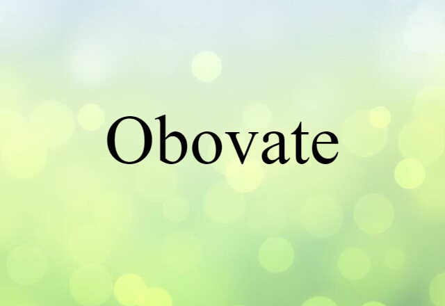 Obovate (noun) Definition, Meaning & Examples