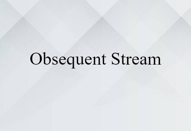 Obsequent Stream (noun) Definition, Meaning & Examples