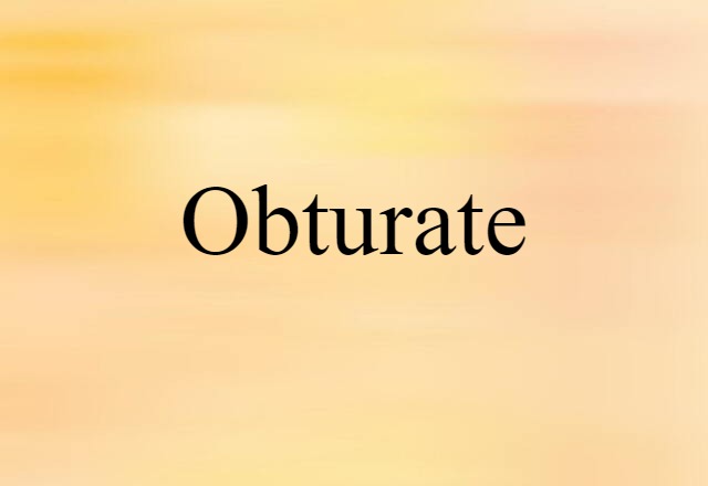 Obturate (noun) Definition, Meaning & Examples