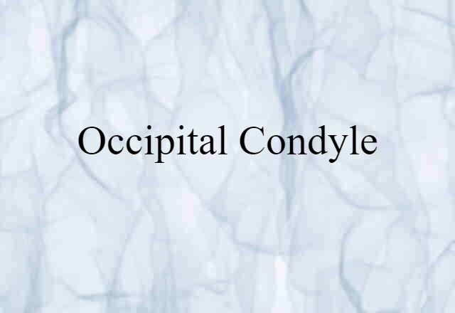 occipital condyle