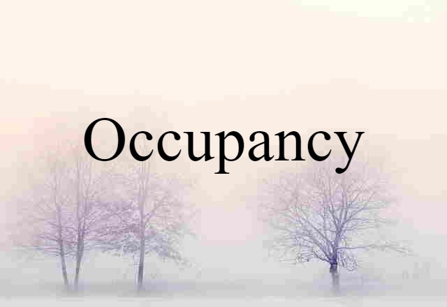 Occupancy (noun) Definition, Meaning & Examples