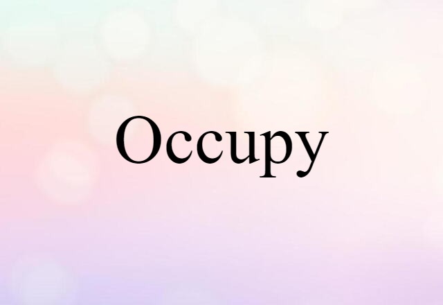 Occupy (noun) Definition, Meaning & Examples