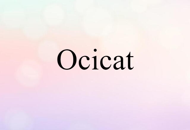 Ocicat (noun) Definition, Meaning & Examples