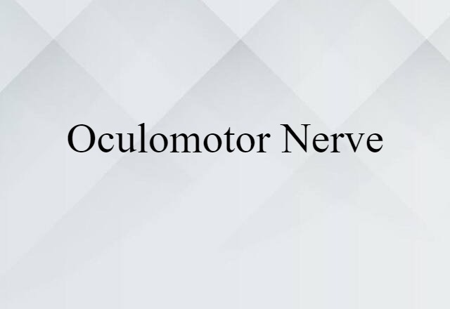 Oculomotor Nerve (noun) Definition, Meaning & Examples