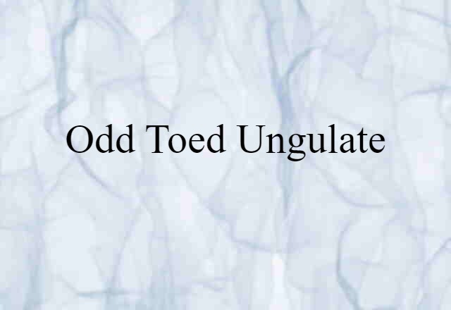 odd-toed ungulate