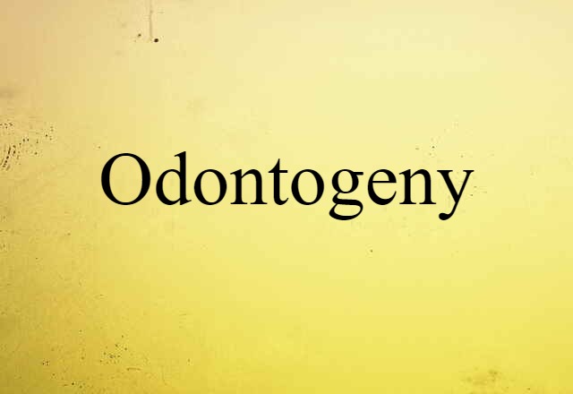 Odontogeny (noun) Definition, Meaning & Examples