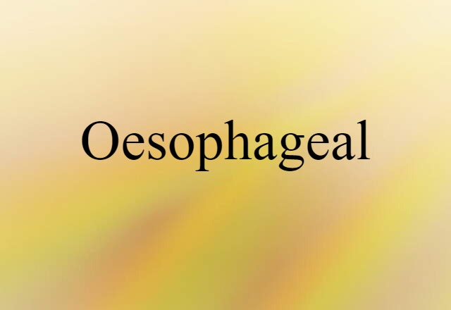 Oesophageal (noun) Definition, Meaning & Examples