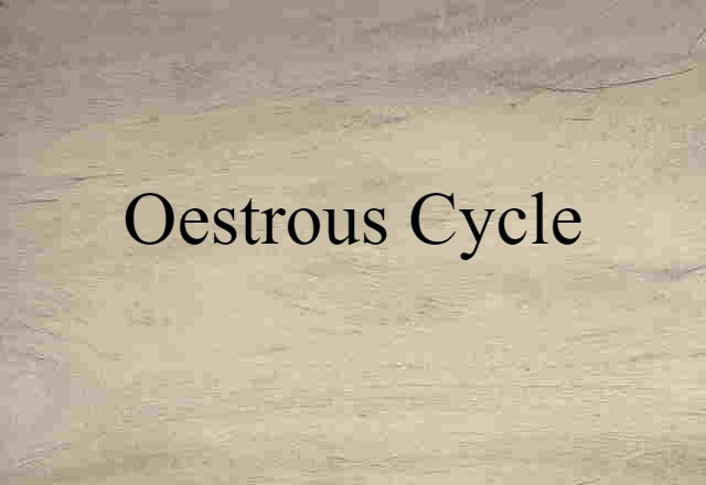 Oestrous Cycle (noun) Definition, Meaning & Examples