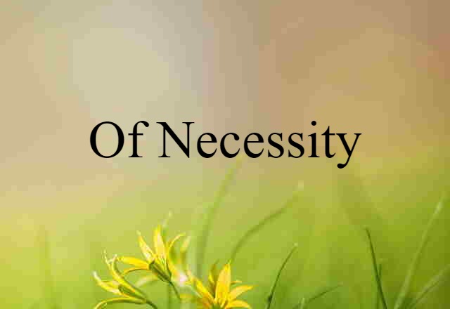 Of Necessity (noun) Definition, Meaning & Examples