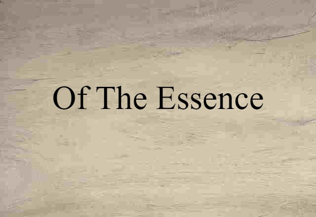 Of The Essence (noun) Definition, Meaning & Examples