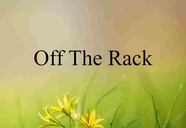 Off The Rack (noun) Definition, Meaning & Examples