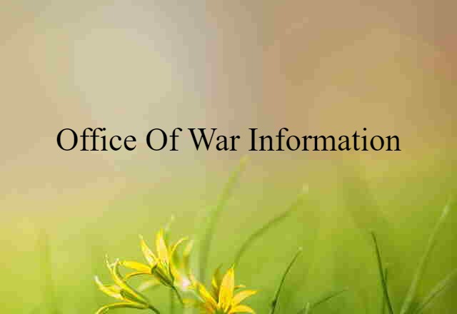 Office Of War Information (noun) Definition, Meaning & Examples