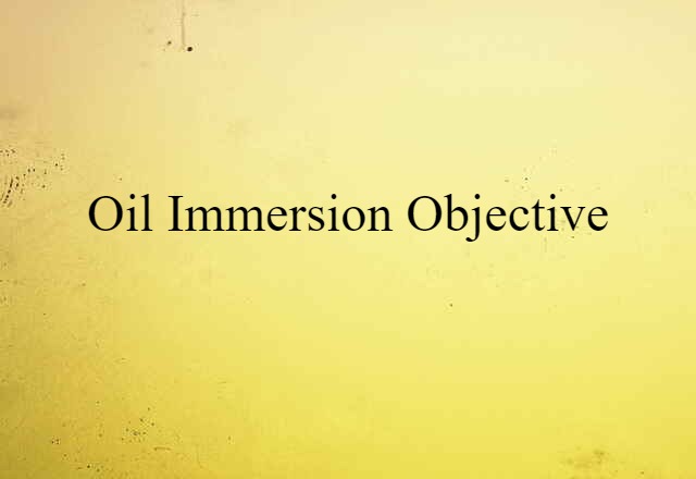 oil immersion objective