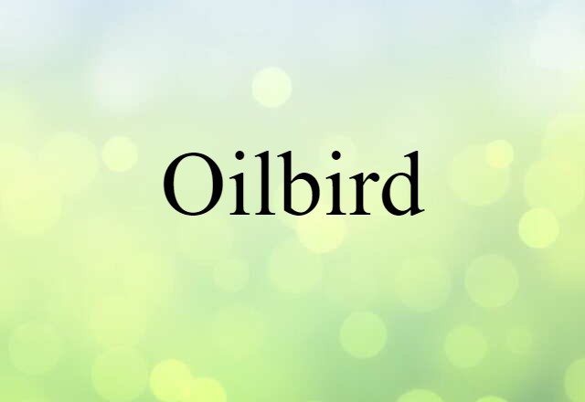 oilbird