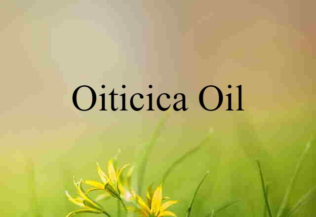 Oiticica Oil (noun) Definition, Meaning & Examples