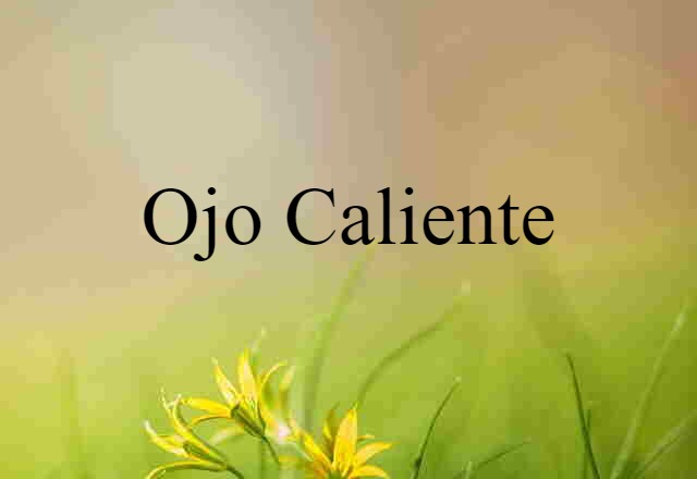 ojo caliente