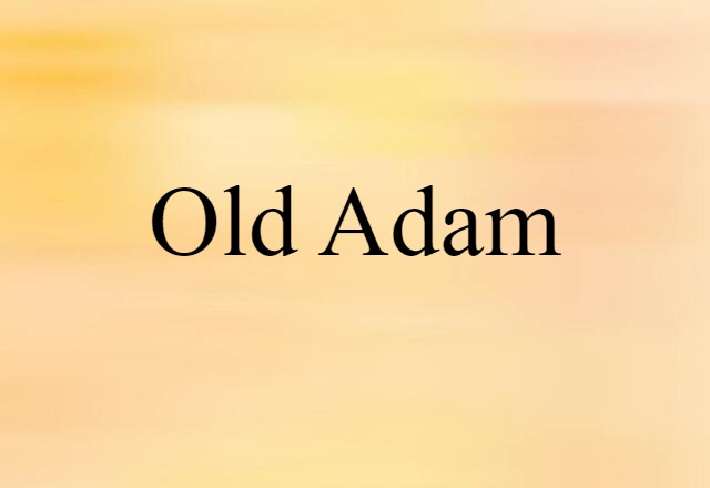 Old Adam (noun) Definition, Meaning & Examples