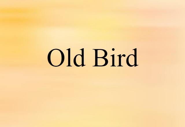 old bird