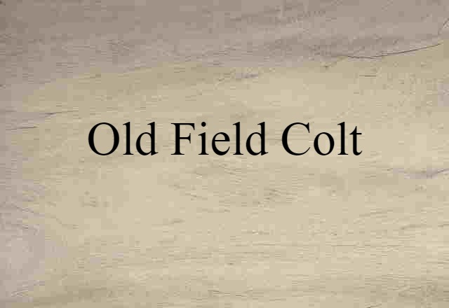 old-field colt