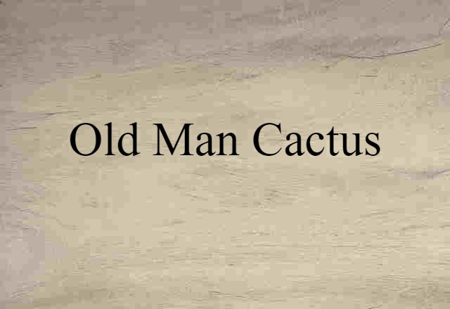 old-man cactus