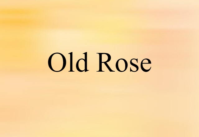 Old Rose (noun) Definition, Meaning & Examples