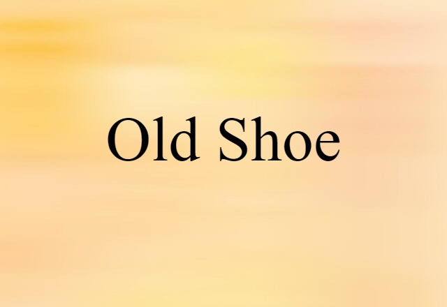 Old Shoe (noun) Definition, Meaning & Examples