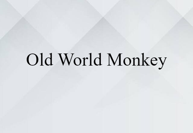 Old World Monkey (noun) Definition, Meaning & Examples