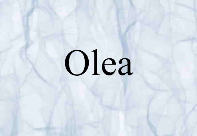 olea